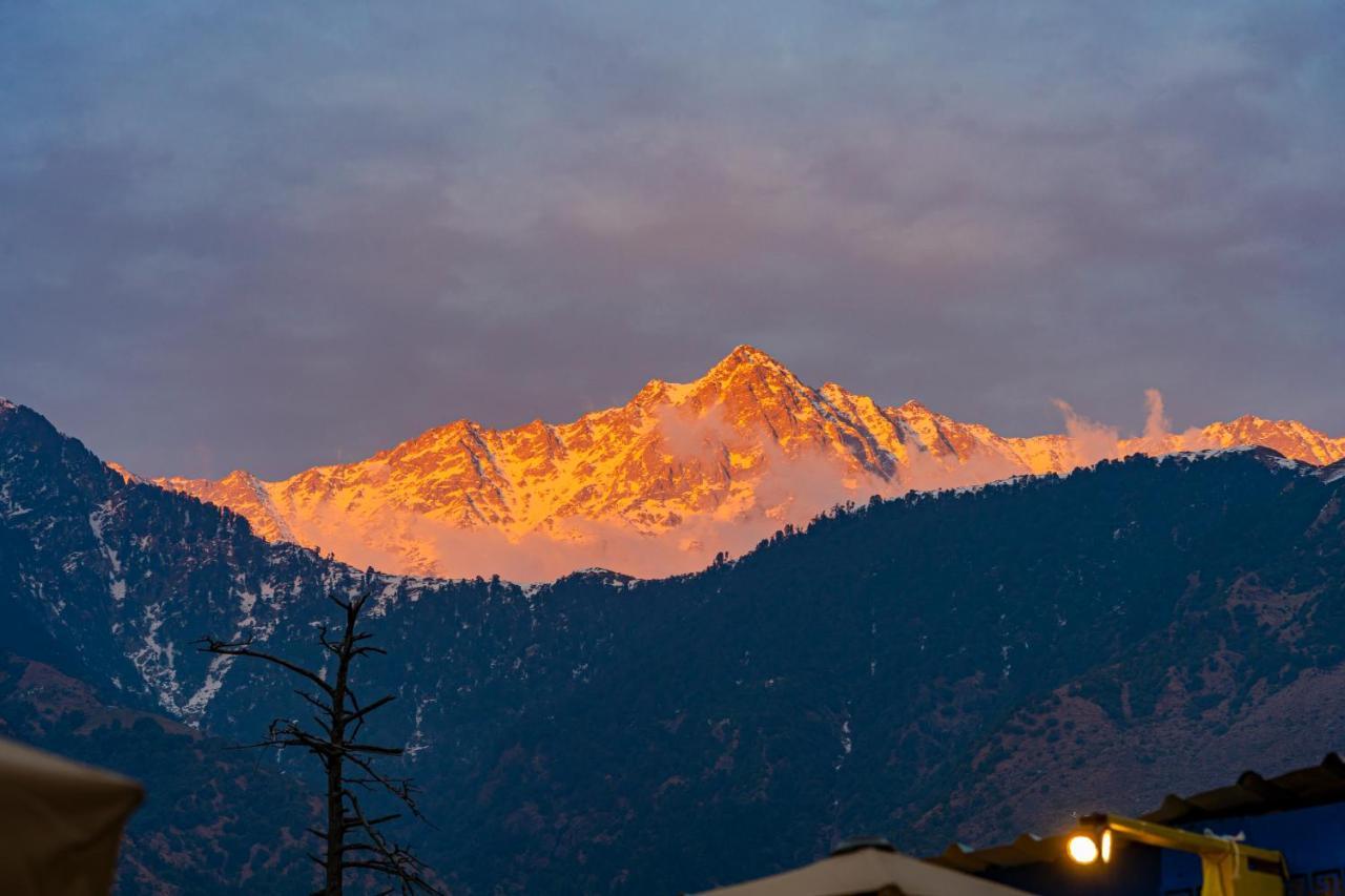 The Hosteller Mcleodganj, Mall Road МакЛеод Ганж Екстериор снимка